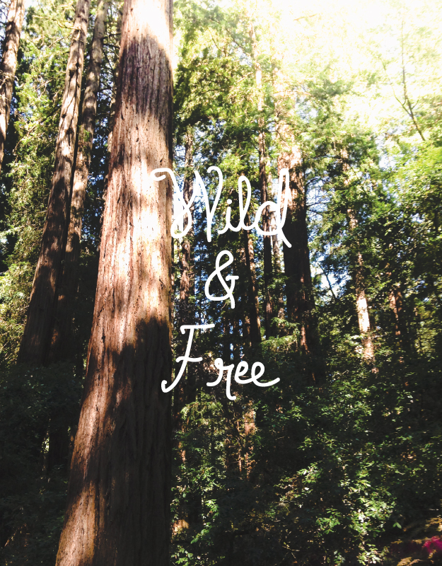 wild and free woods