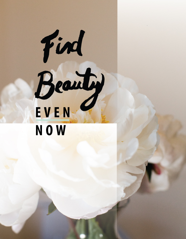 find beauty even now