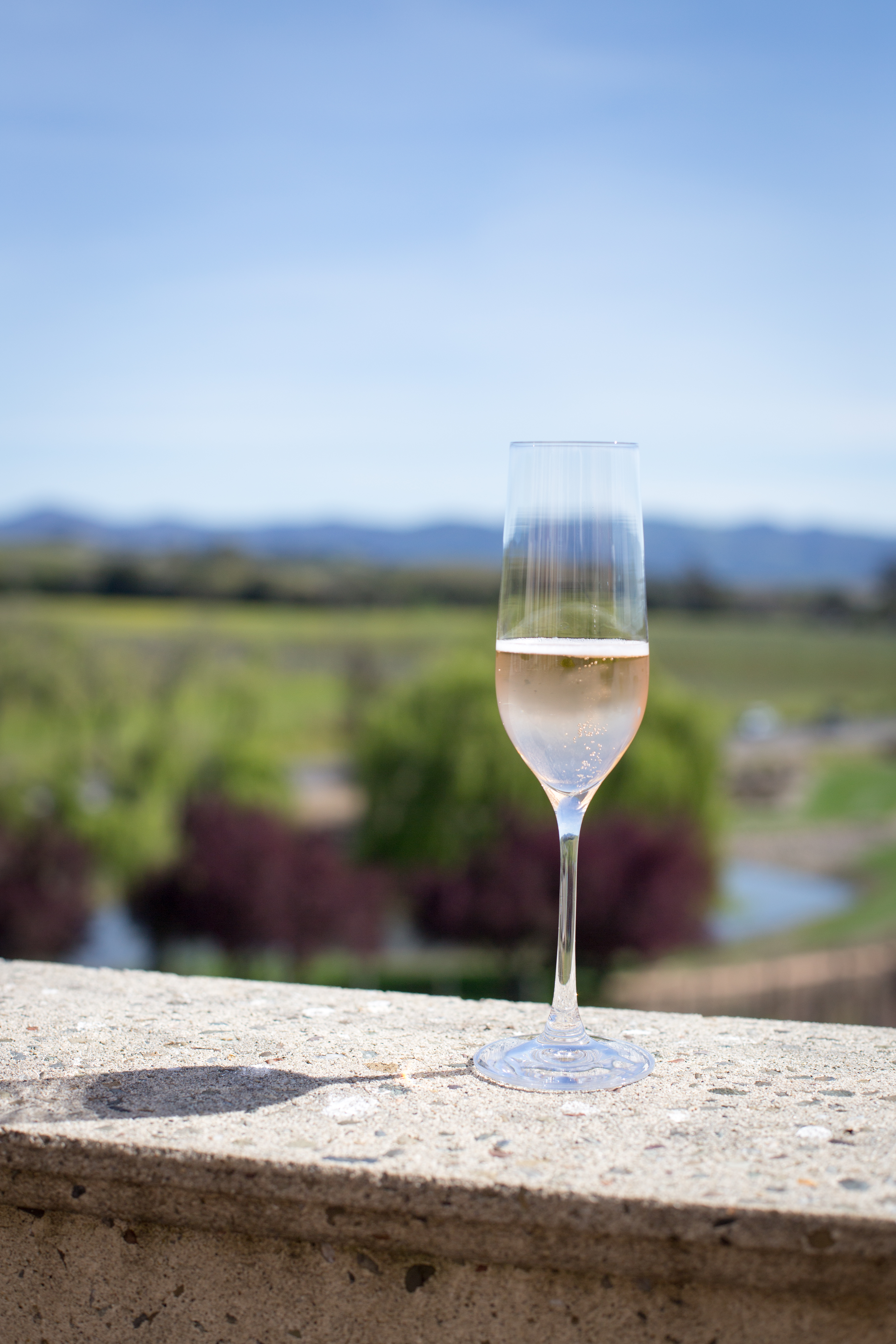 Our Favorite Winery Tours in Napa