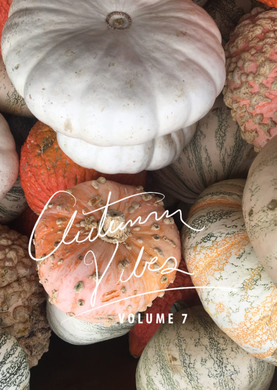 Vol 7 | Autumn Vibes Playlist